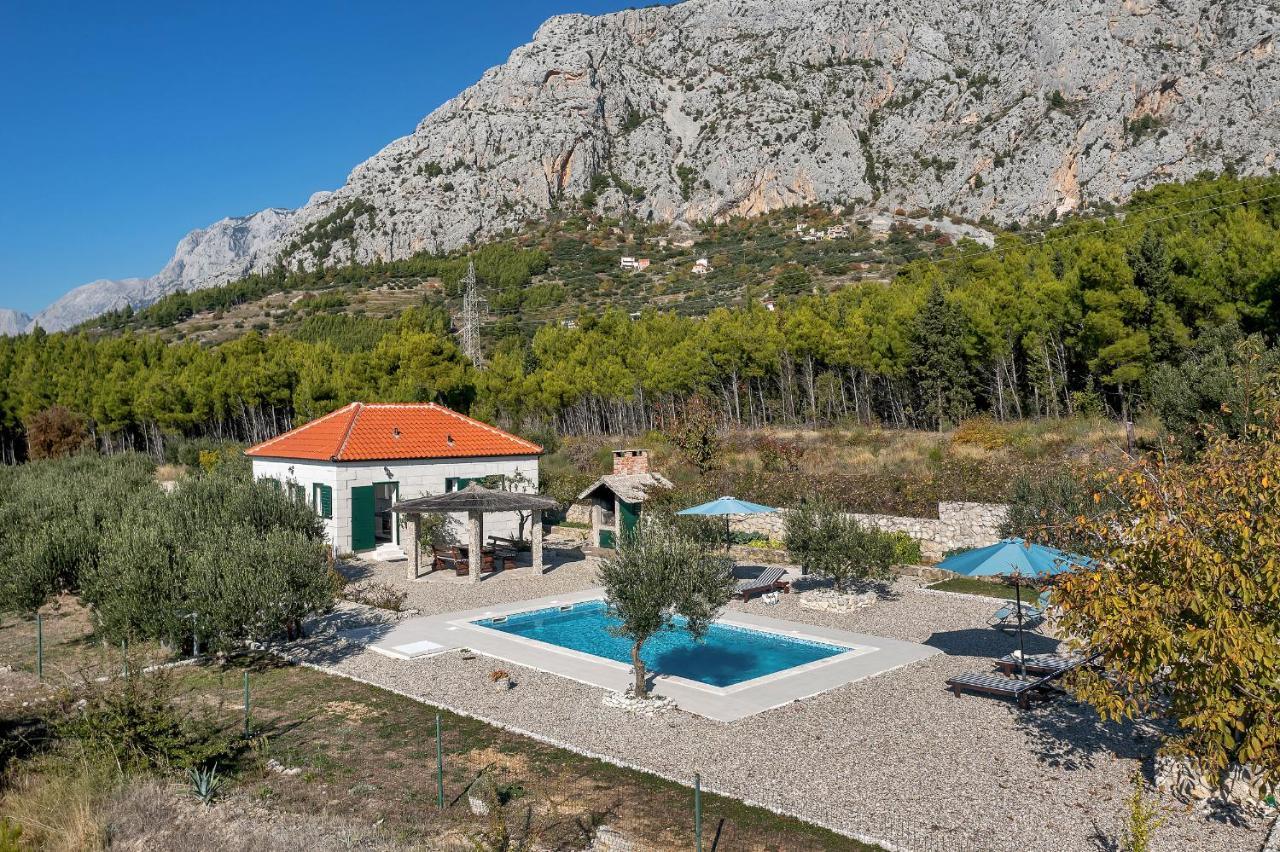 Natura Makarska